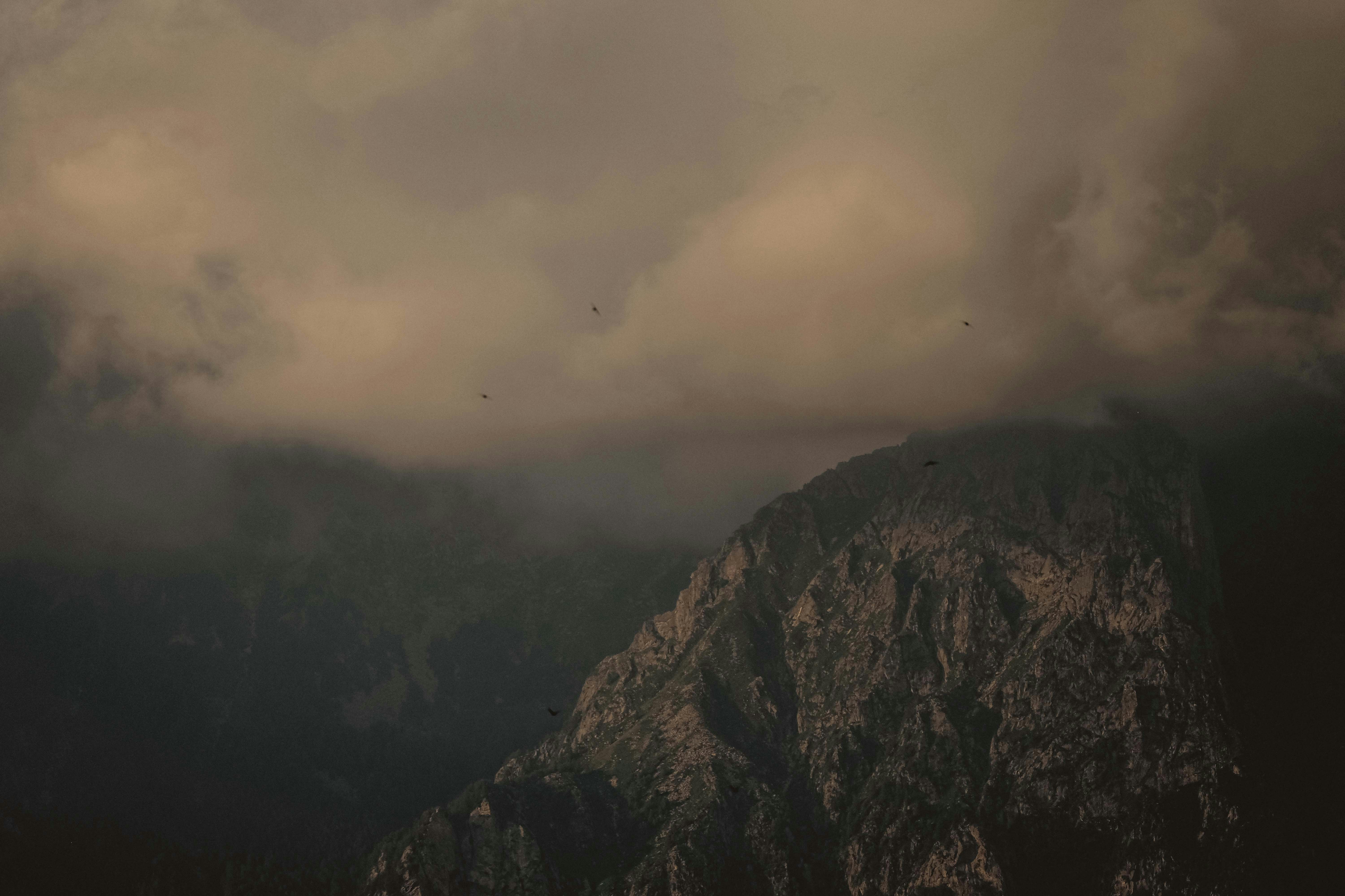 birds flying over the mountains during daytime